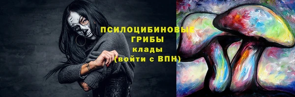 гидра Медногорск