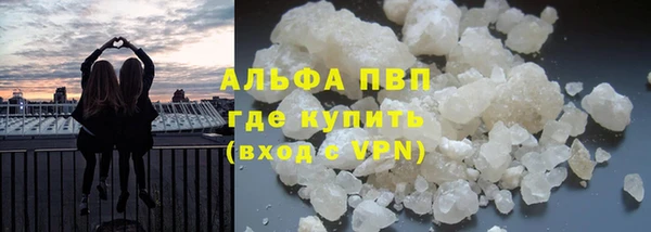 прущие крисы Медвежьегорск