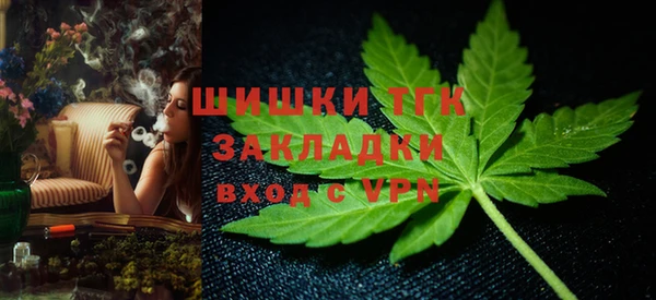 гидра Медногорск